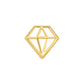 Par de Broquel diamante silueta contorno oro 10k DORADO