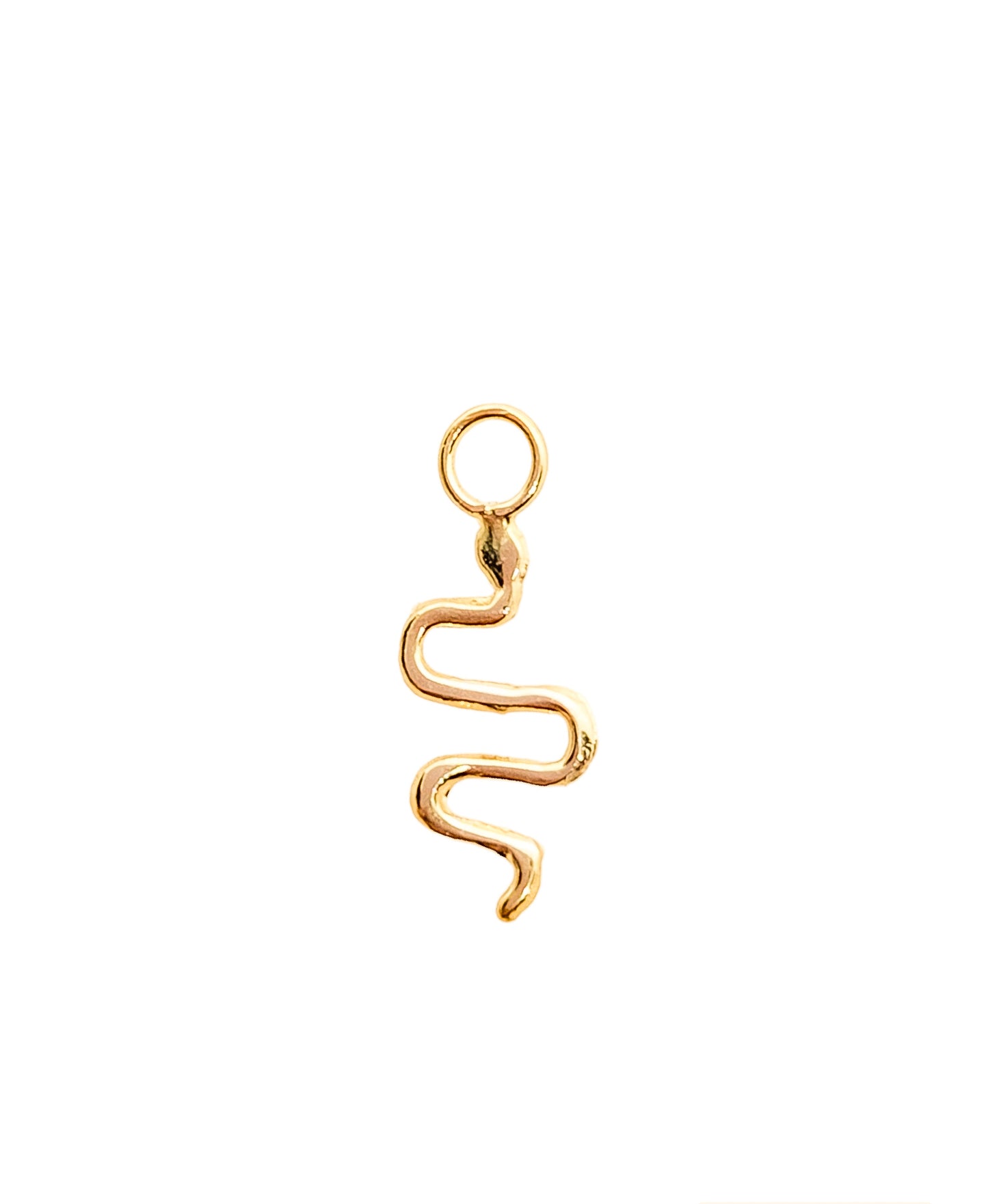 Pieza accesorio charm serpiente oro 10k DORADO