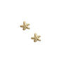 Broquel estrella de mar mini oro 10k